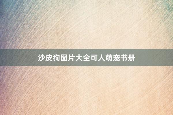 沙皮狗图片大全可人萌宠书册